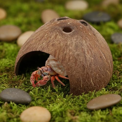 Hypeety Natural Coconut Reptile Habitat Hideout Hermit Crab Hut for Tank | Natural coconut shell, sturdy fish hide cave, organic non-toxic aquarium decoration, for reptile/lizard/spider/hamster/snake