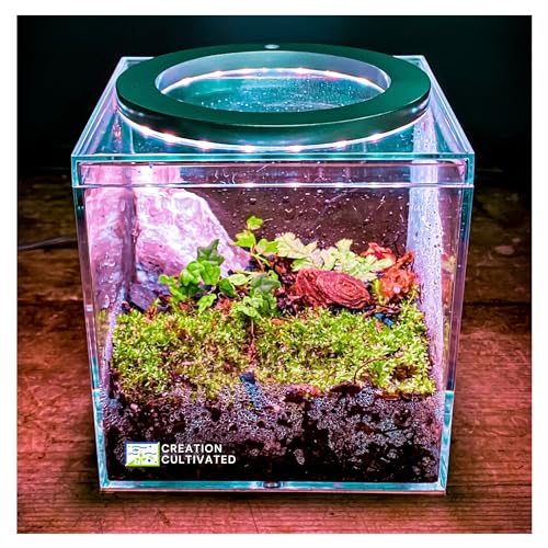 Tiny Terrarium Kit 4x4 Inch – DIY BioActive Starter Kit with Live Tropical Plants, Halo LED Grow Light, Soil, Drainage, 25 Dwarf White Isopods, and 25 Fire-Orange Springtails