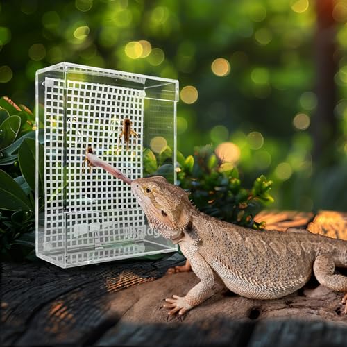 Bearded Dragon Feeder, Transparent Acrylic Reptile Feeding Box, Chameleon Bug Bowl, Wall-Mounted Insect Bowl with Suction Cups, Tank and Aquarium Accessories for Lizard Gecko Frog