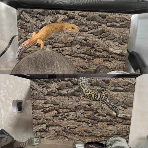PINVNBY Cork Terrarium Background for Reptile,4 PCS Natural Cork Bark for Reptiles Bearded Dragon Tank Climbing Wall Habitat Backdrop Decor for Gecko Lizard Tortoise Frog Chameleon(15.74x11.81 Inches) - size: 【4 PCS】