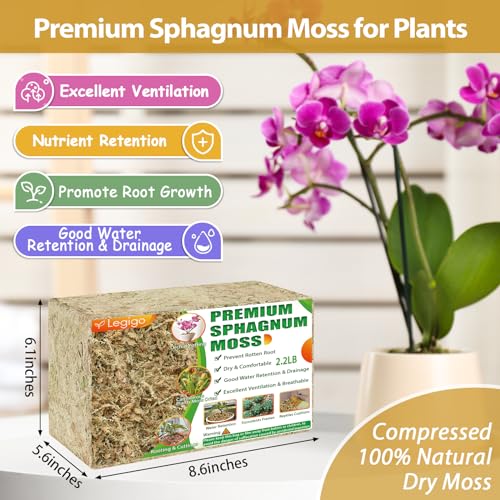 2.2LB Sphagnum Moss for Plants- 40QT Natural Long Fibers Orchid Moss | Moisture Retention & Drainage Balance, Plant Moss for Orchids, Succulents, Carnivorous, Ferns, Reptile Bedding & Terrariums - size: 40 QT(2.2 lb)
