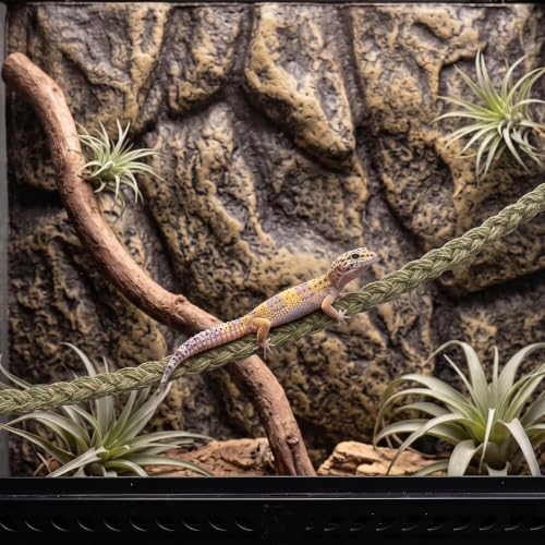 3-Pack Snake Climbing Rope & Reptile Vines 27.5" Braided Hemp Toys for Terrarium Enrichment Ball Python Crested Gecko & Hermit Crab Tank Accessories with Suction & Adhesive Hooks - color: Multi-color
