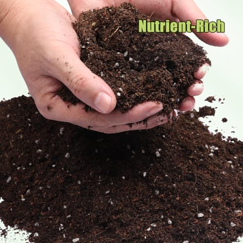 Organic Avocado Tree Potting Soil Mix 1qt, Enhance Growth and Transplant Success for Avocado Plants - size: 1qt
