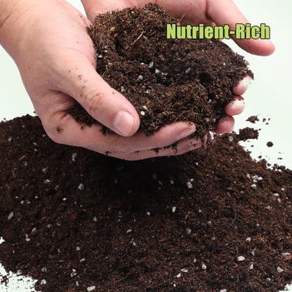 Organic Avocado Tree Potting Soil Mix 1qt, Enhance Growth and Transplant Success for Avocado Plants - size: 1qt