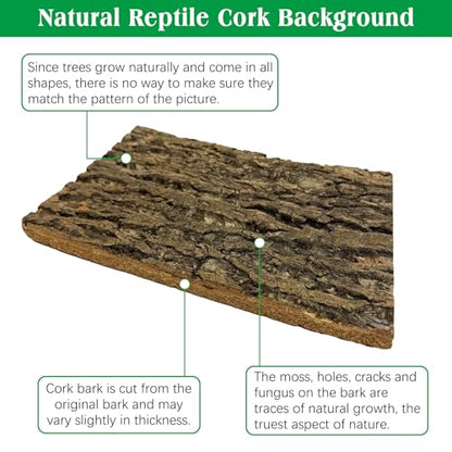 kathson 2PCS Thicker Cork Tile Background Bark 11.8”Lx7.9”Wx0.7”H Reptile Tank Backgroun Terrarium Background Natural Reptile Climbing Mat for Spider Gecko Lizard Chameleon Bearded Dragon Turtle Snake - size: 11.8 "L x 7.9" W x 0.7 "H