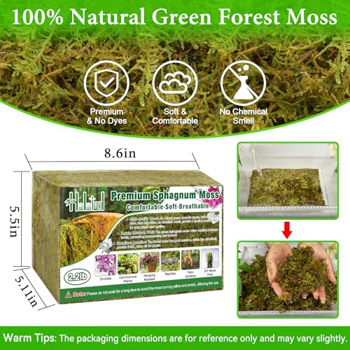 Halatool 2.2 LB Natural Green Forest Moss, 50 QT Long Fiber Sphagnum Moss | No Dyes, Water Retention & Areation, Dried Orchid Moss for Potted Plants Indoor & Outdoor, Orchids Repotting, Terrariums - size: 2.2 lb