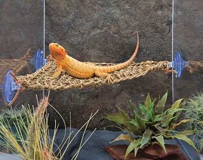 PENN-PLAX Reptology Lizard Lounger Corner Triangle – 100% Natural Seagrass Fiber – Great for Bearded Dragons, Anoles, Geckos, Iguanas, and Other Reptiles – Small - size: Small