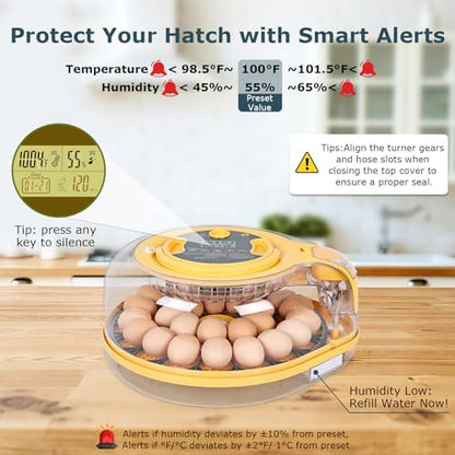 Egg Incubator, 26 Chicken/59 Quail Eggs Incubators for Hatching Eggs with Temp & Humidity Control, Auto Egg Turner, Adjustable Hatch Day & Air Vent, Egg Candler, Auto Water Refill, 360° Clear View - size: 26 Eggs