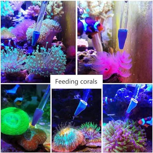31.5Inch Long Corals Grabber,reefs Feeders,Aquarium Veggie Feedting Tool,Aquarium Food Clip Feeding(Long Reef Grabber and Coral Feeder Kits(Anti-Rust) - size: Long Reef grabber and coral feeder(ANTI-RUST)