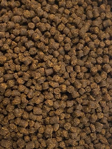 Axolotl Food Soft Moist Sinking Pellets for Axolotls,1/8" 3.2mm Rangen Salmon Sinking Soft Pellets with Squid,Shrimp & Spirulina A4R (32oz - 2 LBS) - size: 2 Pound (Pack of 1)