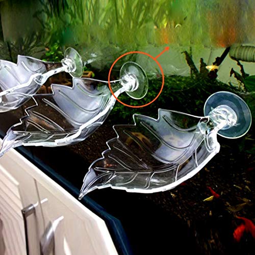 Shrimp Feeding Dish Shrimp Feed Dish Leaf Shaped Bowl