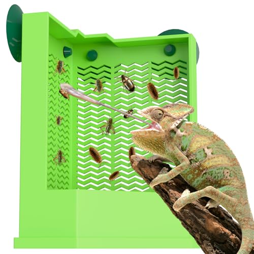 Pawfly Reptile Feeder Bowl - Escape-Proof Corner Hunting Dish, Wall-Mounted Insect Feeder for Bearded Dragons, Chameleons, Geckos, Frogs & Lizards with Suction Cups - color: Corner Mounted Feeding Dish, size: Large