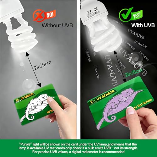 UVB Light for Reptiles 5.0: 15W UVA UVB Reptile Light Bulb 2 Pack, Tropical Reptile UVB Bulb Compact Fluorescent Terrarium Lamp,UVB Light Bulb for Chameleon Turtle Gecko Include UV Sensor Card - size: 5.5INCH-5.0