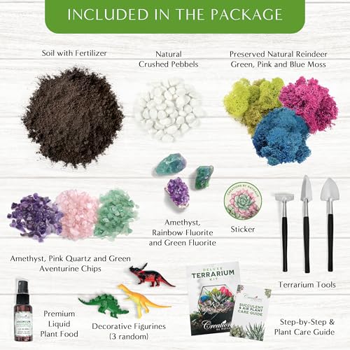 Creations by Nathalie – DIY Large Terrarium Starter Kit with Soil, Moss, Pebbles, Healing Crystal, Tools & Supplies – Terrarium Kit for Adults & Teens, Handcrafted in USA | DIY large terrarium starter kit with premium moss, tools, and essential supplies t