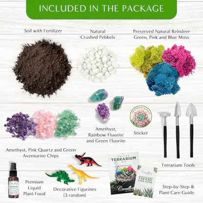Creations by Nathalie – DIY Large Terrarium Starter Kit with Soil, Moss, Pebbles, Healing Crystal, Tools & Supplies – Terrarium Kit for Adults & Teens, Handcrafted in USA | DIY large terrarium starter kit with premium moss, tools, and essential supplies t