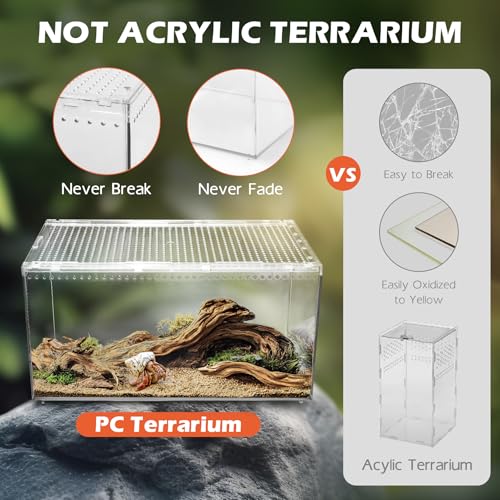 AZV Large and XLarge Reptile Terrarium Tank,Versatile Enclosure for Leopard Crested Gecko,Lizard Cage,Spider Starter Kit,Hermit Crab Habitat,Tarantula Cribs,Perfect Aquarium for Frogs,Insects