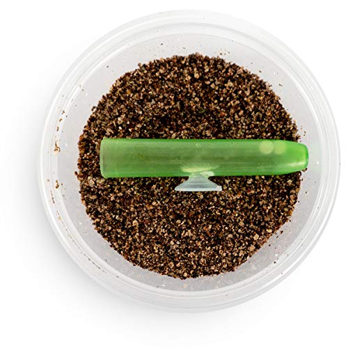 Josh's Frogs Egg Laying Tube with Suction Cup for Small Arboreal Geckos