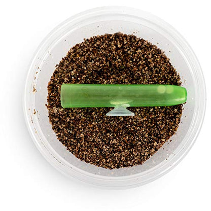 Josh's Frogs Egg Laying Tube with Suction Cup for Small Arboreal Geckos