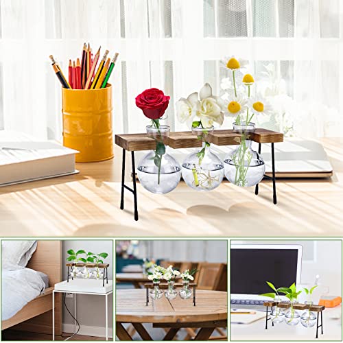 Propagation Station, 3 Pcs Bulb Vase Glass Plant Propagation Station Modern Desktop Glass Planter Hydroponic Table Top Planter Glass Flower Vases for Home Garden Office Coffee Table Décor