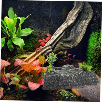 Toddmomy Turtle Basking Platform Climbing Ramp and Floating Island Natural Habitat Decor for Aquariums Resting Terrace for Tortoises and Reptiles Physical Activity and Reduces Stress