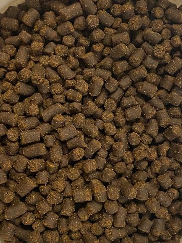 Axolotl Food Soft Moist Sinking Pellets for Axolotls,5/32" 4.0mm Rangen Salmon Sinking Soft Pellets with Squid,Shrimp & Spirulina A5R (2oz) - size: 2 Ounce (Pack of 1)