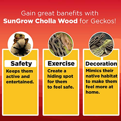 SunGrow Leopard Gecko Cholla Wood, 5 Inches Long, Create Basking Spot, Artistic Home-Decor, Lizards and Bearded Dragons, 3-Pack