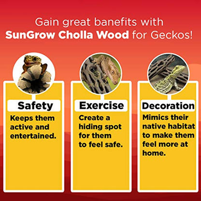 SunGrow Leopard Gecko Cholla Wood, 5 Inches Long, Create Basking Spot, Artistic Home-Decor, Lizards and Bearded Dragons, 3-Pack