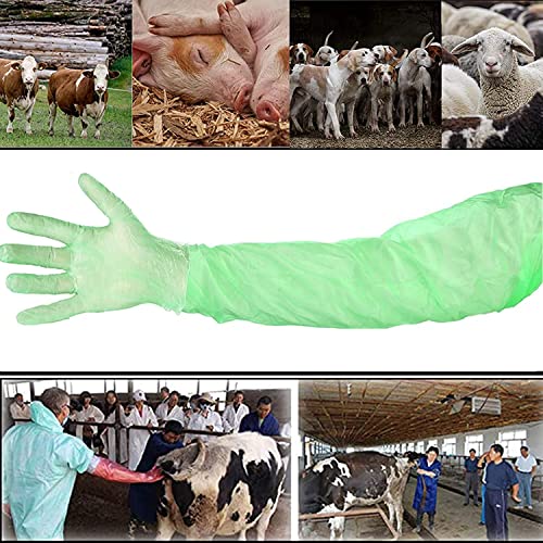 100 Pcs Field Dressing Gloves - Extra Long Disposable Deer Hunting Kit for Gutting and Field Dressing - color: Green