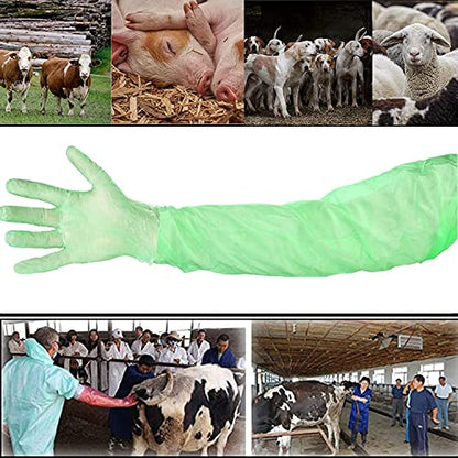 100 Pcs Field Dressing Gloves - Extra Long Disposable Deer Hunting Kit for Gutting and Field Dressing - color: Green