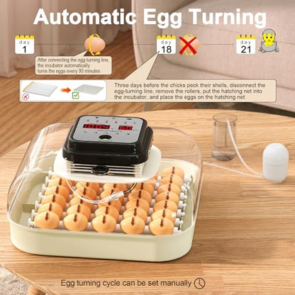 35 Chicken Egg Incubator, Quail Incubator with Humidity Control | Incubator for Hatching Eggs, Automatic Egg Turning, Egg Candler, Humidity Display, incubadora de huevos de gallina
