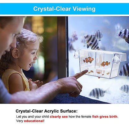 DaToo Fish Breeding Box Aquarium Holding Tank Transparent Fish Isolation Box Acclimation Hatchery Incubator Breeder for Betta Shrimp Clownfish Guppy