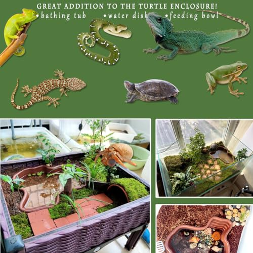 Reptile Habitat for Turtle Salamander Bearded Dragon Lizard Gecko | Water Pool for Turtle Bathing Pool, Accessories & Enclosure for Frog Snake, Food Feeding Bowl, Tweezers & Bath Tub Set