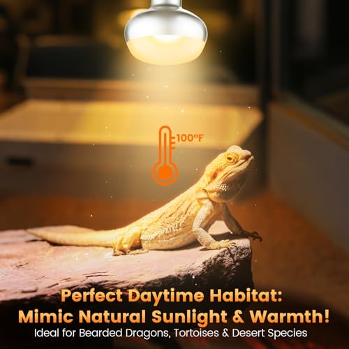 Dual Reptile Light Fixture with 100W Daytime Heat & UVB 10.0 Reptile Bulb, 2 Independent Switches, Reptile UVA UVB Heat Combo Pack - size: ST3