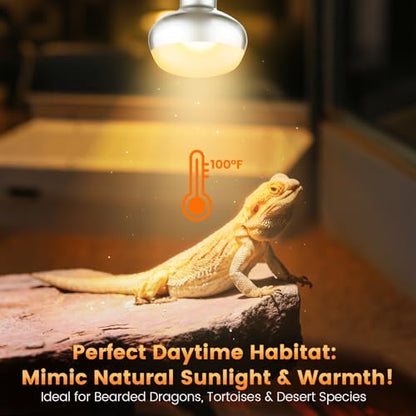 Dual Reptile Lamp Fixture with 100W Daytime Heat & 100W Nighttime Infrared Heat Bulbs, 2 Independent Switches, Reptile Heat Lamp Combo Pack - No UVB - size: ST2
