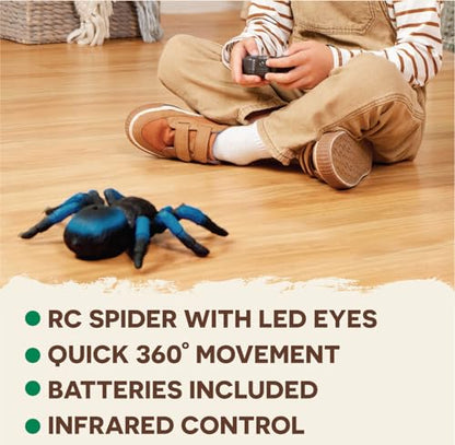 Terra by Battat Remote Control Spider, LED Eyes, 360 Spin, Blue, Animals | RC tarantula toy with moving legs, LED eyes, blue stripes, and 1 remote control for creature-inspired play, Animals, 6+ Years - style: Spider (Blue)