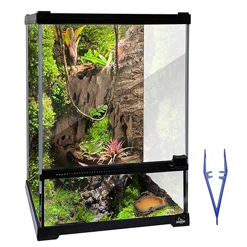 Reptile Glass Terrarium Tank 10 * 10 * 14in, Full View with Front Opening Door,Amphibians Enclosure Habitat Cage for Crested Gecko,Spider,Tarantula,Lizard,Hermit Crab,Frog,Mantises,Insects - size: 10x10x14 inch