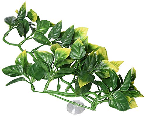Hagen Exo Terra Plastic Terrarium Plant, Small, Amapallo - color: Multi Color, size: Small