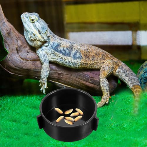 4pcs Ceramic Reptile Feeding Bowls Multi-Function Worm and Water Dish for Bearded Dragon Gecko Terrarium Pet Supplies