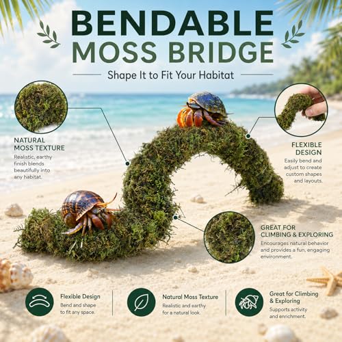 HERCCOCCI Hermit Crab Accessories, Hermit Crab Toys Flexible Climbing Bridge Reptile Hammock Habitat Decor for Hermit Crabs Leopard Geckos Crested Tortoise Snake