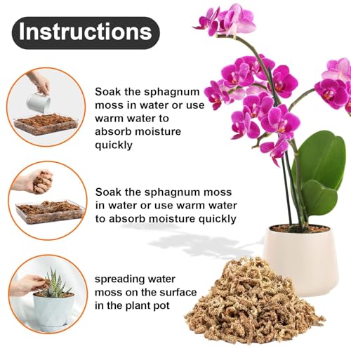 Sukh Sphagnum Moss for Plants - 3 OZ Long-Fiber Orchid Moss for Repotting | Dried Peat Moss for Phalaenopsis, Cattleya, Succulents, Carnivorous Plants, Moss Poles, Indoor Plants and Reptiles