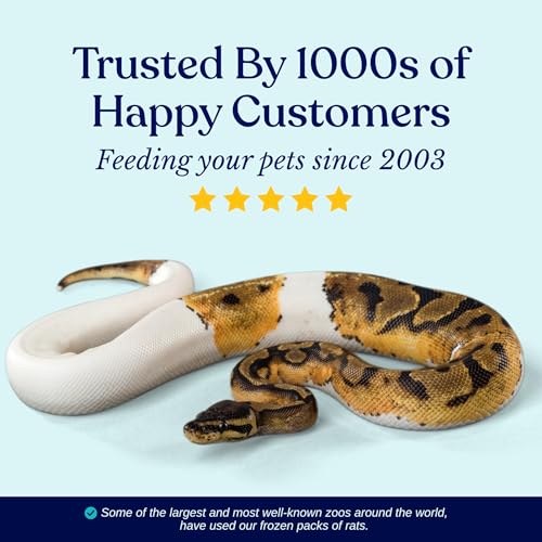 Frozen Large Adult Feeder Mice Food for Adult Ball Pythons Juvenile Red Tale Boa Monitors Lizards (10 Count) - size: 3-3.25 Inches (Pack of 10)