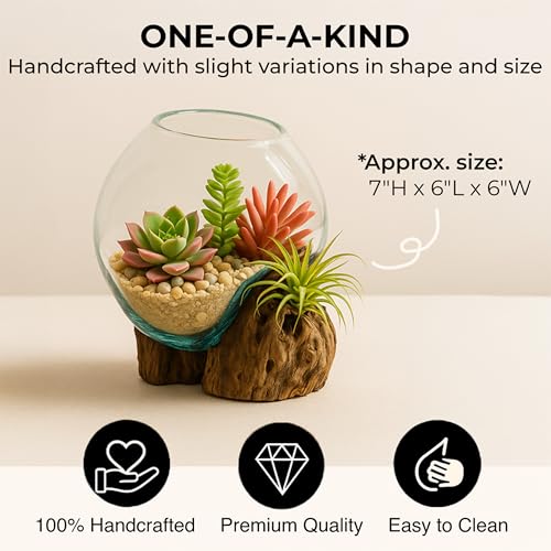 Cape Craftsmen 7" Hand-Blown Blue Tinted Bubble Glass On Natural Teak Driftwood Terrarium Kit | Home Décor Indoor Planter with Stand | Pot for Succulent and Plants - size: Small (With Stand)