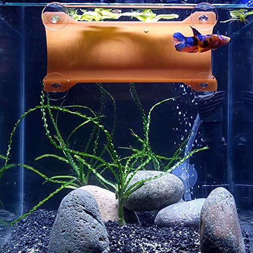 Brand Betta Tunnel (Translucent Terracotta) - color: Translucent Terracotta
