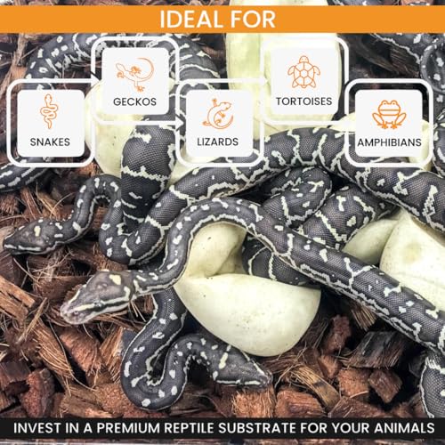 ReptiChip Reptile Bedding Loose Coconut Chip 36 Quart Coco Husk Substrate Mulch for Snake Habitat, Ball Python Terrarium, Turtle Tanks, Tortoise Enclosure