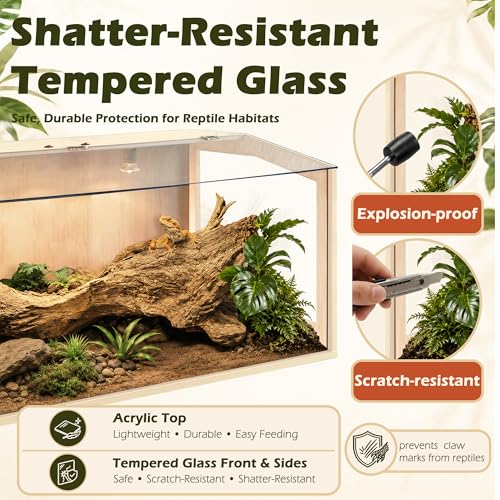 Bearded Dragon Tank, Lizard Tank with Clear Tempered Glass, Anti-Scratch Reptile Enclosure, Reptile Tank Built-in Light Fixtures with Switch (24X16X16inch,24 Gallon) - color: Transparent Roof, size: 24X16X16inch,24 Gallons