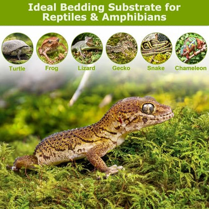 4.4LB Sphagnum Moss for Plants, 80QT Natural Long Fiber Orchid Moss | Drainage & Moisture Retention, Green Plant Moss for Orchid Repotting, Carnivorous, Succulents, Reptile Bedding & Terrariums - size: 4.4LB