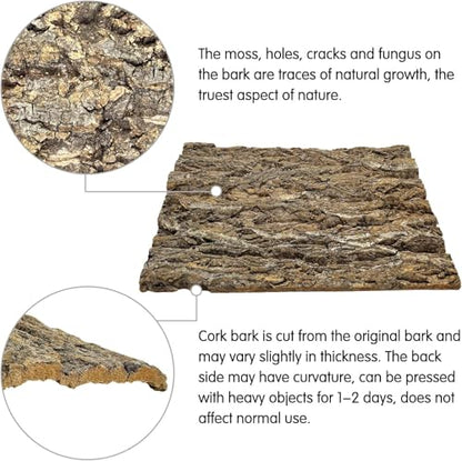 kathson 2PCS Thicker Cork Tile Background Bark 11.8 "L x 11.8" W x 1‘’ H Reptile Tank Terrarium Background Natural Reptile Climbing Mat for Spider Gecko Lizard Chameleon Bearded Dragon Snake - size: 11.8 "L x 11.8 " W x 1‘’ H