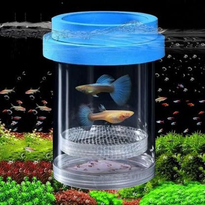 Breeder Box for Fish Tank, Floating Plastic Aquarium Breeding Chamber | Floating Mesh Isolation Hatchery Incubator for Small Fish, Betta Shrimp Clownfish Guppy - Adjustable Nursery Tank Divider