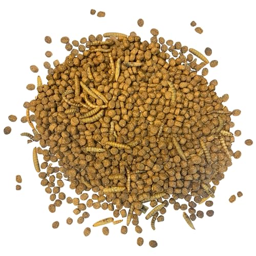 Hedgehog Essential - Chicken Kibble with Mealworms (6 Pound) - size: 6 Pound (Pack of 1)