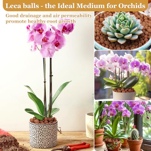16LB Organic Leca Clay Pebbles for Plants, 4-16mm Natural Leca Ball | Reusable, Drainage, Aeration, Moisture Retention, Hydroponic, Lightweight for Orchids, Succulents, Terrarium, Indoor Plants - size: 16LB